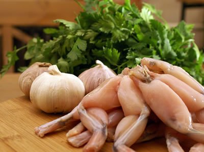 frog-legs